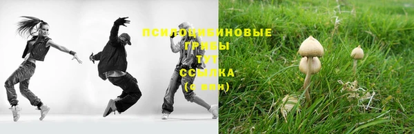 прущие грибы Россошь