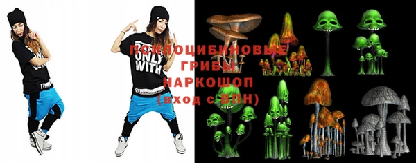 дурь Арсеньев
