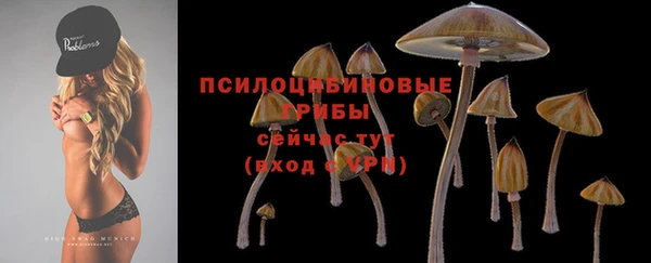 кокс Аркадак