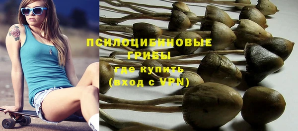 дурь Арсеньев